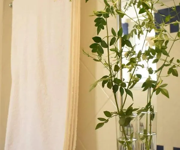 C' Est La Vie * Nafplion