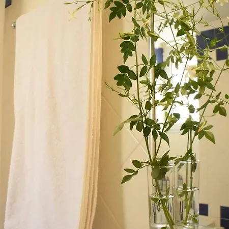 C' Est La Vie * نافبليو